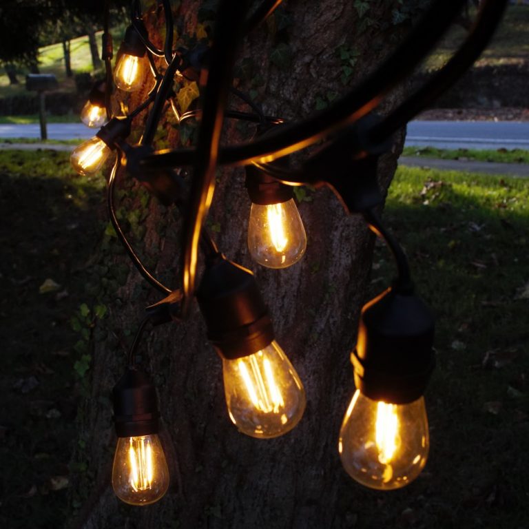 S14 Double LED Filament E26 Commercial String Light Sets Sets with ...