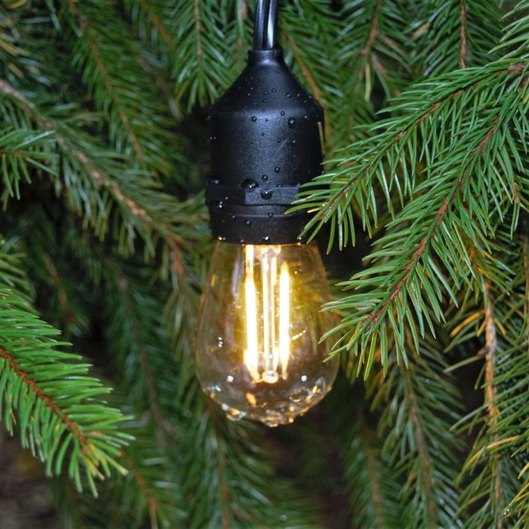 S14 Double LED Filament E26 Commercial String Light Sets Sets with ...