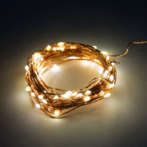 6 Foot - Battery Operated LED Fairy Lights - Waterproof with 20 Warm White Micro LED Lights on Copper Wire