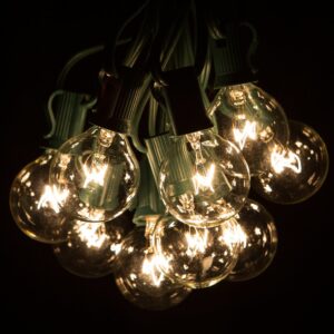 G40 Clear String Lights Set with Green Wire