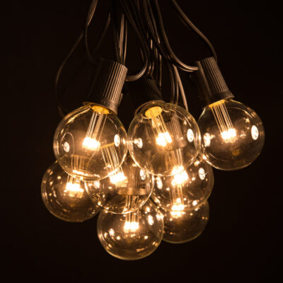 25' Outdoor LED 25 - Bulb Globe String Light Hometown Evolution, Inc.