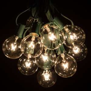 G50 Clear String Lights Set with Green Wire