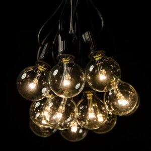 G40 LED Warm White String Lights Set with Black Wire