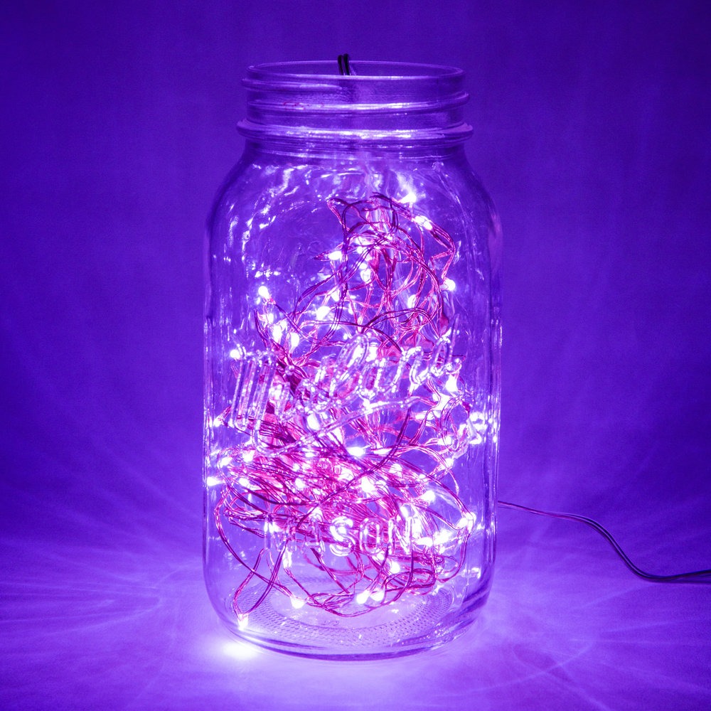 33 - Plug in LED Fairy 100 Micro LED Lights on Copper Wire - Hometown Evolution Inc.