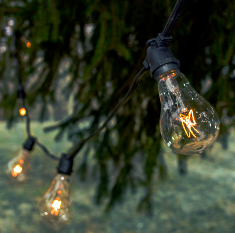 String Light Set PS50 Clear Commercial String Light Sets with Black Wire - Hometown ...