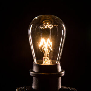 S14 CLEAR 11 Watt E26 Base Light Bulbs