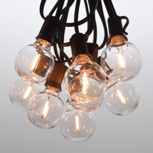 G40 LED Plastic String Lights with Black Wire
