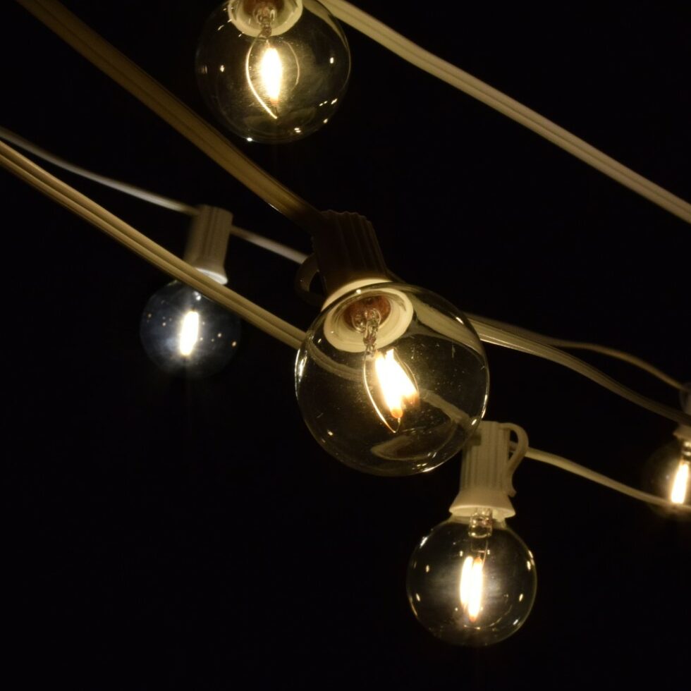 LED G40 Filament Globe String Lights with White Wire
