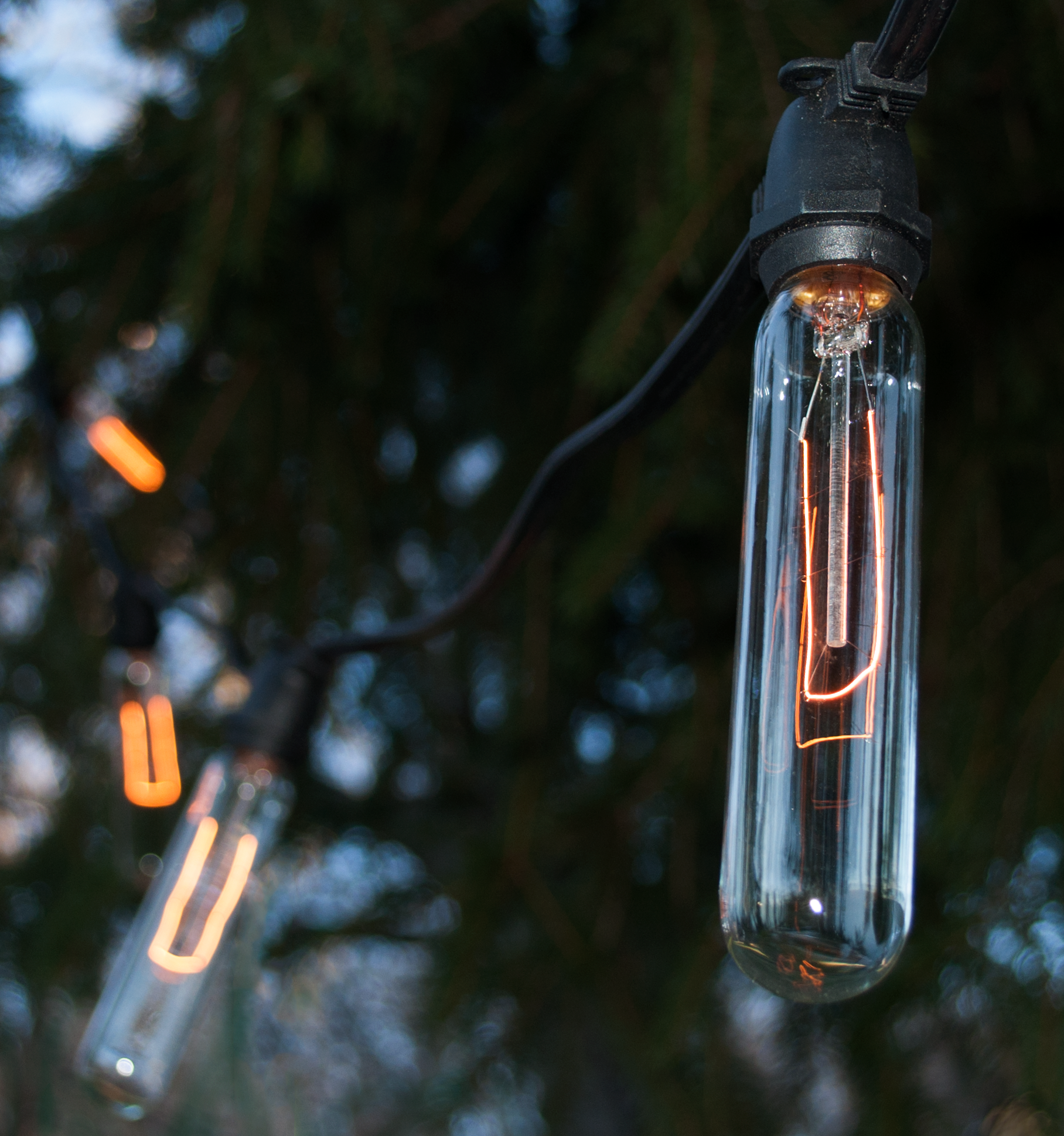 T25 TUBE EDISON C9 (E17) Base Light Bulbs - Image 2
