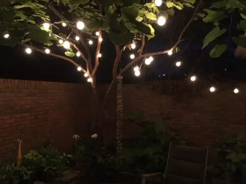 G50 White Satin Pearl String Lights Set with Black Wire photo review