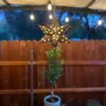 12" Tin Star Light - Star Cut with Marbles photo review