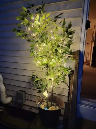 16.5 Foot - Plug in LED Fairy Lights- 50 Warm White Micro LED Lights on Copper Wire photo review