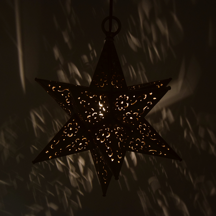 12" Tin Star Light - Flower Cut (Limited Edition) - Image 2