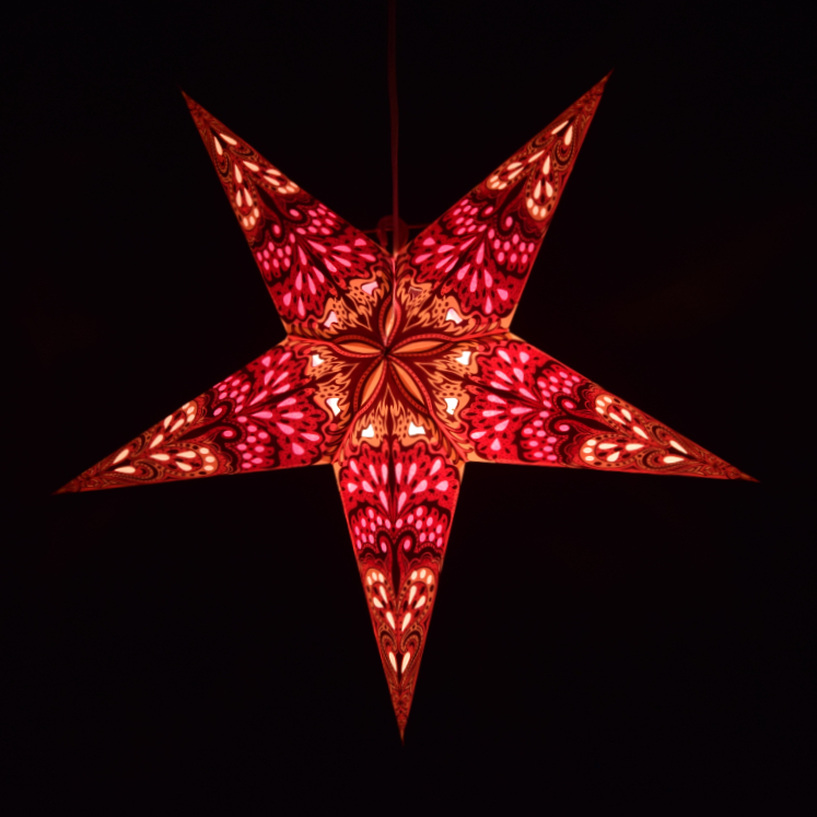 (S277) Orchid Charm Paper Star Lantern - Image 6
